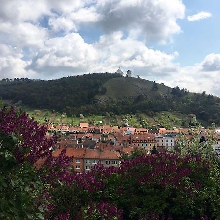 Apartman Havenatura Mikulov Dış mekan fotoğraf